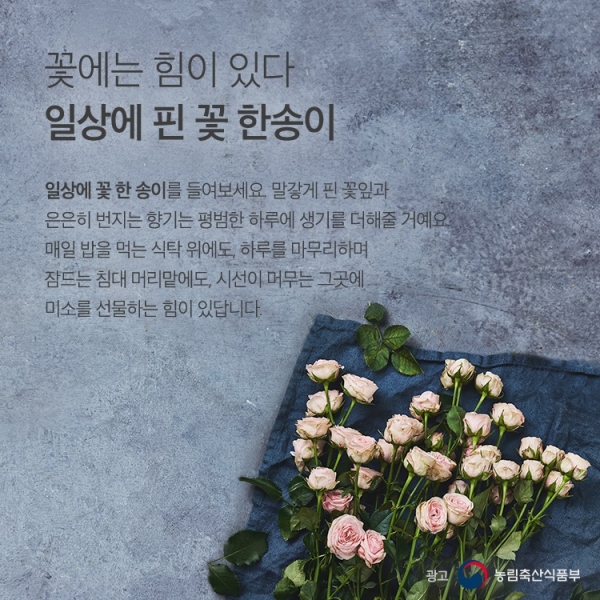 마켓컬리, ‘농부의 꽃' 출시 8개월 만에 58만 송이 이상 판매