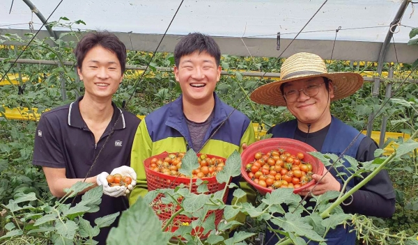 쿠팡, 토마토 전량폐기 위기 처한 농가 위해 400여 톤 매입 