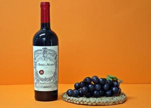 롯데칠성, 이탈리아 와인 '테레 디 마리오 레드' 출시