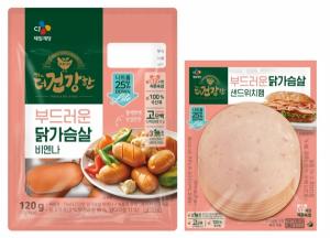 CJ제일제당, The더건강한 닭가슴살 신제품 출시