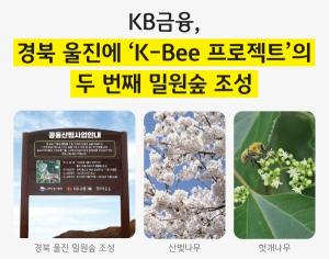 KB금융, 식목일 맞아 경북 울진에 ‘K-Bee 프로젝트’ 두 번째 밀원숲 조성